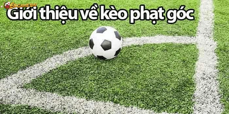 Ảnh bảng khuyến mãi soi kèo phạt góc hấp dẫn tại nhà cái