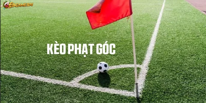 Trải nghiệm người chơi tham gia dự đoán kèo phạt góc bóng đá